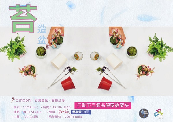 苔造盆體驗課程圖片